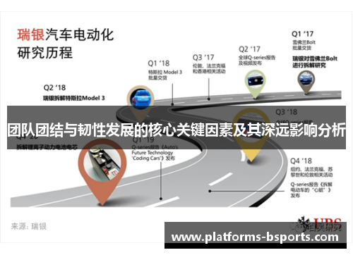 团队团结与韧性发展的核心关键因素及其深远影响分析