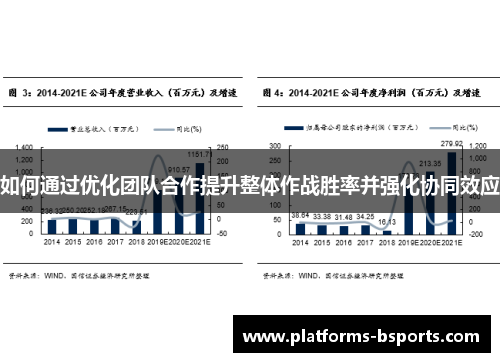 如何通过优化团队合作提升整体作战胜率并强化协同效应