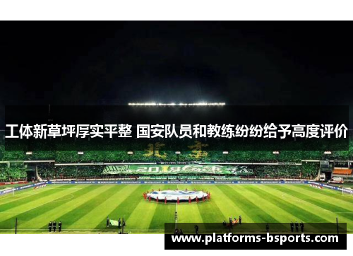 工体新草坪厚实平整 国安队员和教练纷纷给予高度评价