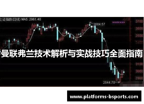 曼联弗兰技术解析与实战技巧全面指南