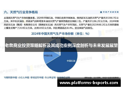 老詹商业投资策略解析及其成功案例深度剖析与未来发展展望
