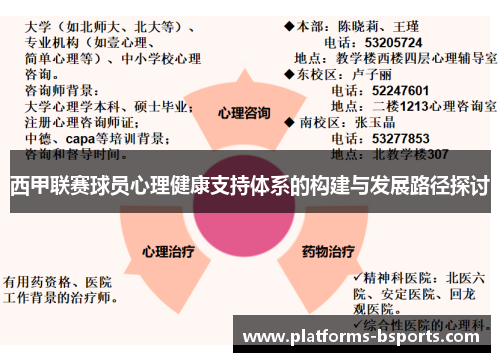 西甲联赛球员心理健康支持体系的构建与发展路径探讨